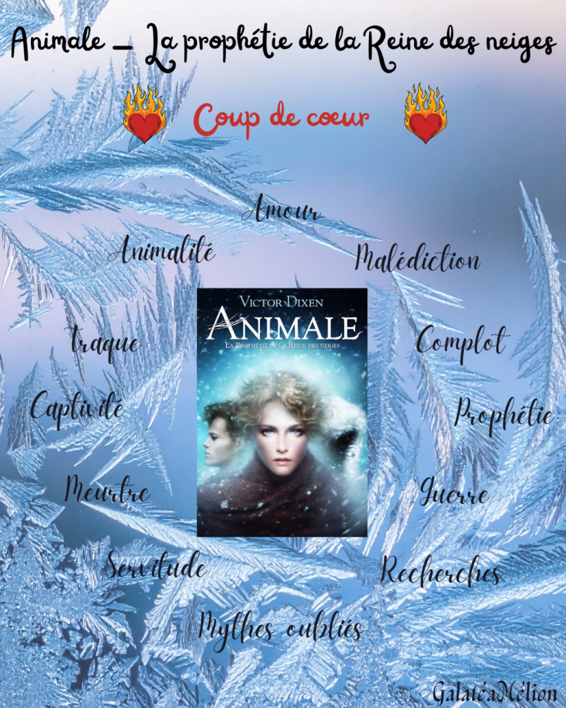 animale t2 coup de coeur