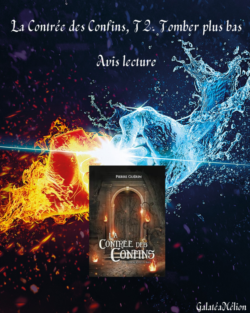 la contree des confins t2 avis lecture