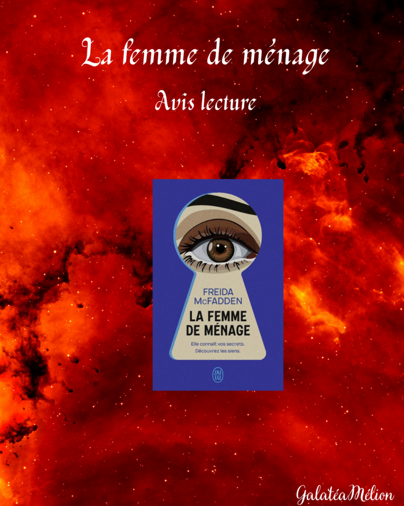 la femme de menage avis lecture