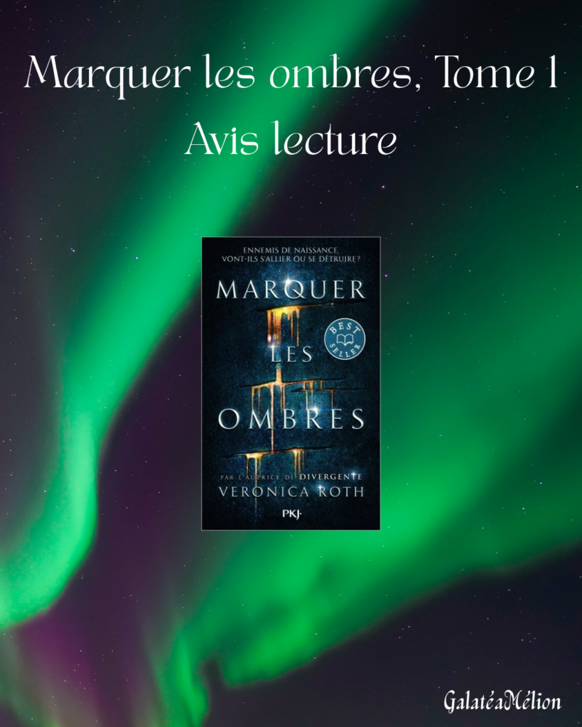 marquer les ombres avis lecture