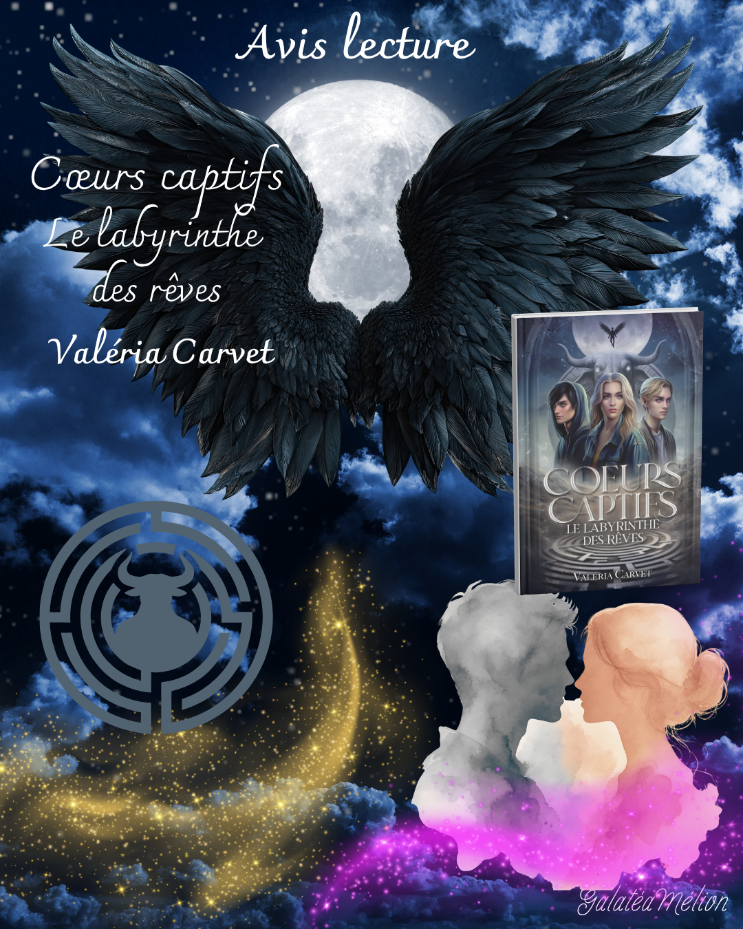 Avis lecture - Coeurs captifs - Valéria Carvet Avis lecture – Coeurs captifs – Valéria Carvet